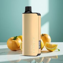 Alibarbar Ingot 9000 Puffs Disposable Vape Kühle Minze – 22ml – 9000 Züge