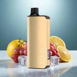 Alibarbar Ingot 9000 Puffs Disposable Vape Trauben-Eis – 22ml E-Liquid, 2350mAh