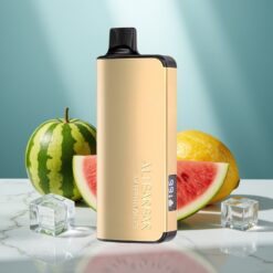 Alibarbar Ingot 9000 Puffs Disposable Wassermelone-Eis 22ml 2350mAh LED