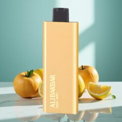 Alibarbar Pandora 7000 Züge 17 ml Cool Minze Einweg-Vape