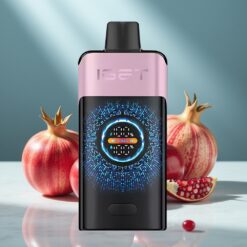 IGET ONE 12000 Züge Wegwerf-Vape Kirsch-Granatapfel mit 2700 mAh & Dual-Mesh Coil