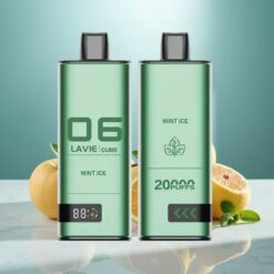 Lavie Cube 20000 Puffs Wegwerf-Vape Minze Eis 28ML 5% Typ C