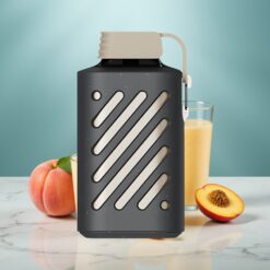 VOZOL GEAR 10000 Wegwerf-Vape Pfirsich-Mango Smoothie, 30 Geschmäcker, 20ml Liquid, 500mAh