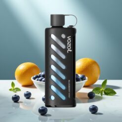 VOZOL Gear Shisha 25000 Puffs Blaubeer-Minze Dual Mesh 1000mAh 5mg/ml