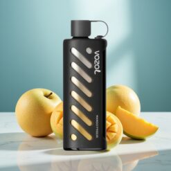 VOZOL Gear Shisha 25000 Puffs Mango-Eis mit 1000mAh & 5mg/ml