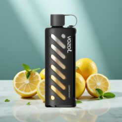 VOZOL Gear Shisha 25000 Züge Zitrone Minze 5mg/ml 1000mAh Dual Mesh