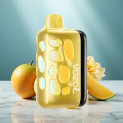 VOZOL RAVE 40000 Party-Modus Mango-Eis 270° Leuchtend 80% in 20 Min 1000mAh