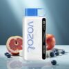 VOZOL STAR 9000/12000 Einweg-Vape Blaubeersturm mit S.i.L.C TECH & 650mAh