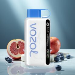VOZOL STAR 9000/12000 Einweg-Vape Blaubeersturm mit S.i.L.C TECH & 650mAh