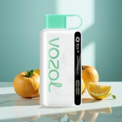 VOZOL STAR 9000/12000 Wegwerf-Vape Cool Minze mit 650mAh & Recycled Plastic