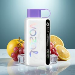 VOZOL STAR 9000/12000 Wegwerf-Vape Grape-Eis mit 650mAh & Recycling-Kunststoff