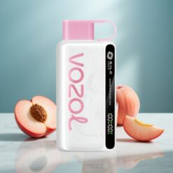 VOZOL STAR 9000/12000 Wegwerf-Vape Pfirsich-Eis mit 650mAh & Recycling