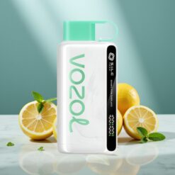 VOZOL STAR 9000/12000 Wegwerf-Vape Zitronen-Minze mit S.i.L.C TECH & 650mAh