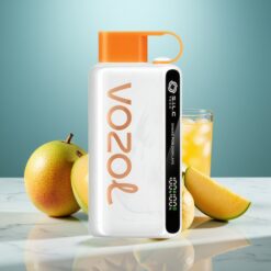 VOZOL STAR 9000/12000 Wegwerf-Vape mit S.i.L.C TECH, Mexiko-Mango-Eis, 650mAh, 30% schnellere Ladung