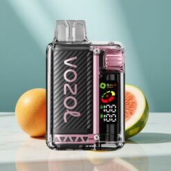 VOZOL Vista 20000 Züge wiederverwendbar 650mAh 2% Nikotin Pfirsich Mango Wassermelone OLED S.i.L.C Tech Dual Mesh MTL TPD